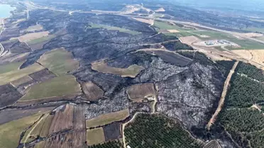 Şarköy'deki Orman Yangını Kontrol Altına Alındı