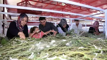 Elazığ'dan İpek Böceği Başarısı