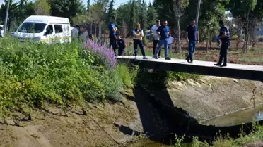 Bafra'da Sulama Kanalında Kadın Cesedi Bulundu