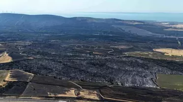 Şarköy'de Yangın Gelibolu'ya Sıçradı