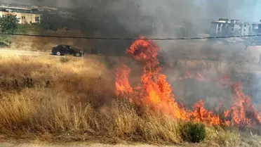 Manisa'da Kuru Otlar Yangına Neden Oldu
