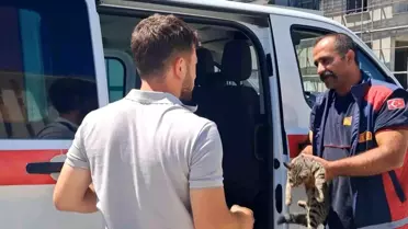 Sıkışan Kedi İtfaiye ile Kurtarıldı