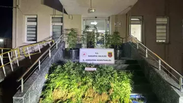 Sakarya'da Uyuşturucu Operasyonu: 1 Tutuklama
