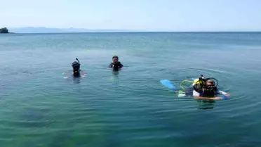Ordu'da Patlamış Mayın Bulundu