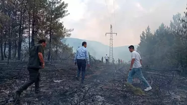 Karabük'te Orman Yangını Kontrol Altına Alındı