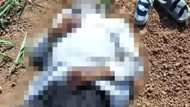 Akçakale'de Mısır Tarlasında Erkek Cesedi Bulundu