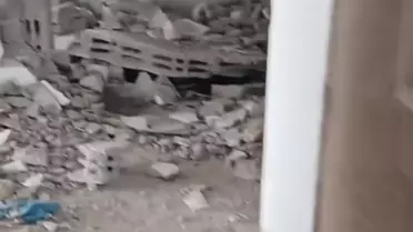 Yavru Köpeği Kurtaran Kahraman