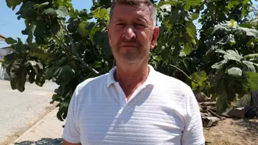 İsa Eren, Burhaniye'deki Caddeyi Meyve Ağaçlarıyla Donattı