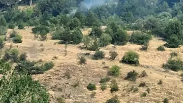 Bolu'da Yıldırım Yangınları Kontrol Altına Alındı