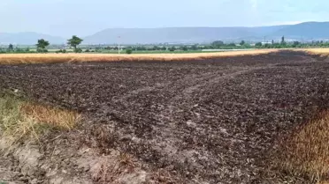 Denizli'de Yıldırım Yangına Neden Oldu