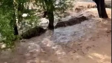 Erdemli'de Sağanak Sele Neden Oldu
