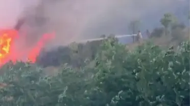 Sultangazi'de Orman Yangını Kısa Sürede Söndürüldü