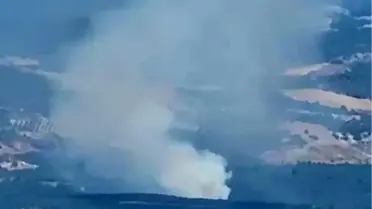 Bursa'nın İznik İlçesinde Orman Yangını