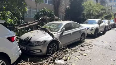İstanbul'da Kurumuş Ağaç Dalı Park Halindeki Aracın Üzerine Düştü