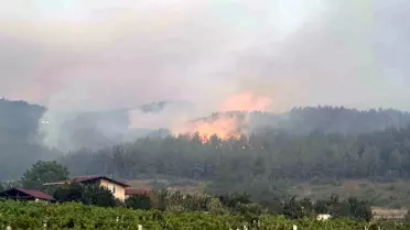 Sakarya'da Orman Yangınına Hava Müdahalesi