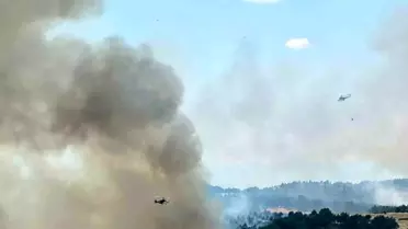 Uşak'ta Orman Yangınına Müdahale