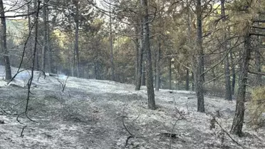 Uşak'taki Orman Yangını Kontrol Altına Alındı