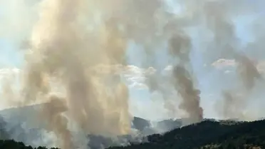 Uşak'taki Orman Yangınına Müdahale Sürüyor