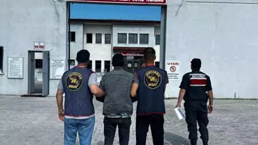 Aranan Şahıs Jandarma Tarafından Yakalandı