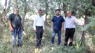 Köylüler mezarlıkta vardiyalı nöbet tutuyor! Koparılması halinde 500 bin lira cezası var