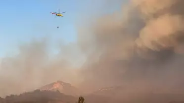 Geyve'deki Orman Yangını Kısmen Kontrol Altına Alındı