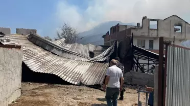 Geyve'de Orman Yangını: 12 Bağımsız Bölüm Hasar Gördü