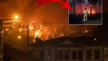 Sakarya yangını 15 saattir sürüyor! Alevlerin içinden yürekleri dağlayan çığlıklar