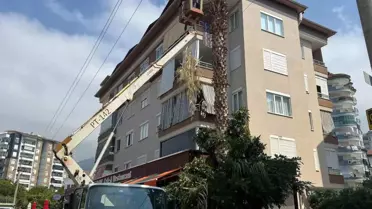 Alanya'da Yangın Riskine Karşı Elektrik Hatları Yakınında Budama Çalışması Yapıldı