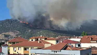 Bilecik'te Orman Yangını: 4 Köy Tahliye Edildi
