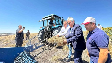 Bandırma Belediyesi'nden Yerel Çiftçilere Destek Projesi: Nohut Hasadı Gerçekleştirildi