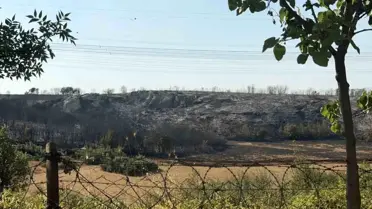 Başakşehir'de Çalılıkta Yangın