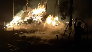 Sakarya'da Orman Yangınları: 95 Hayvan Telef Oldu