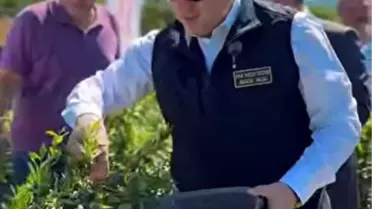 Vali Sözer Yaban Mersini Hasadında