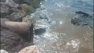 Yalova Belediyesi'ne 1.3 Milyon TL Ceza