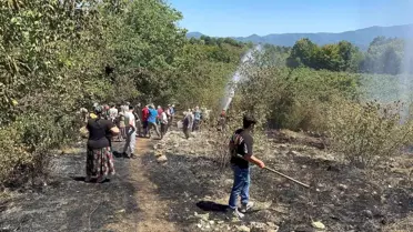 Alaplı'da Fındık Bahçesinde Yangın: Hasar Sınırlı Kaldı