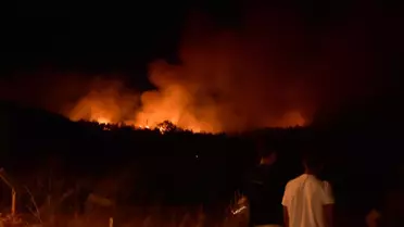 Urla'da Yangın Hızla Yayılıyor
