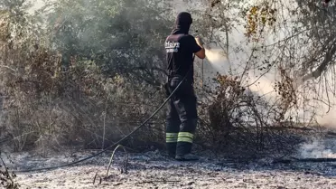 Malkara'da Anız Yangını Ormana Sıçradı