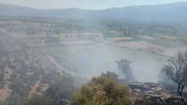 Nazilli'de Kundaklama Şüphesiyle Yangın İhbarı