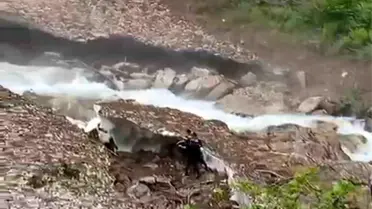 Çamlıhemşin'de Kar Yığınına Düşme Olayı