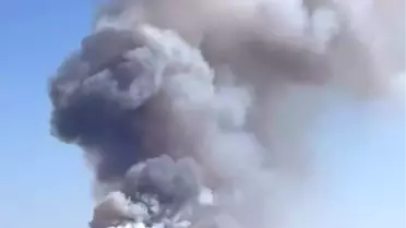 Hendek'te Orman Yangını
