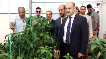 Şanlıurfa Büyükşehir Belediyesi Ata Tohumuna sahip çıkıyor
