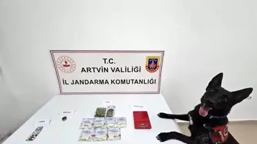 Artvin'de Uyuşturucu Operasyonu: İki Tutuklama