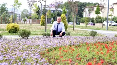 Durugöl, Ranta Değil Halkın Kullanımına Açıldı