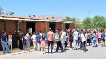 Elazığ Yaz Okullarında Tarihi ve Kültürel Gezi Düzenlendi