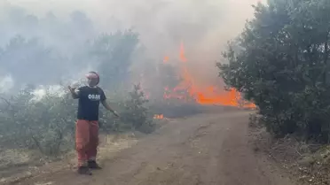 Orman Yangınında Zorlu Mücadele