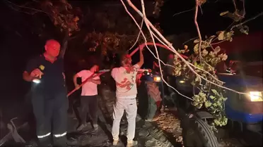 Gebze'de Orman Yangını Kontrol Altına Alındı