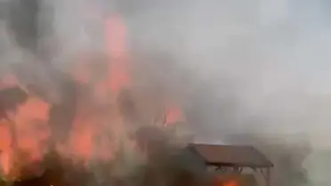 İzmir'de Tarım Arazisinde Yangın