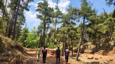 Mersin'de Yangın Önlemi Artırıldı
