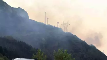 Sakarya'da Orman Yangını Kontrol Altında