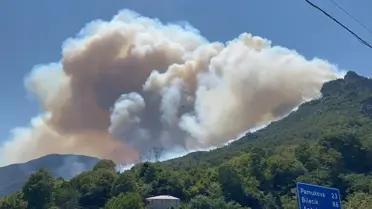 Geyve'de Orman Yangınına Havadan Müdahale